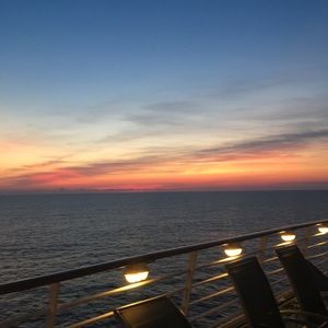 Meet your Posher, Grayce